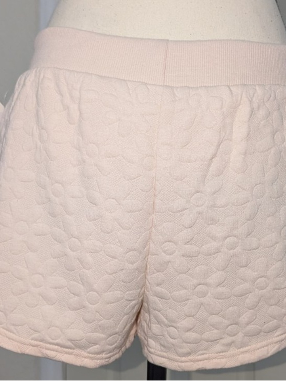 Pink Rose Blush Ribbed Waist Shorts